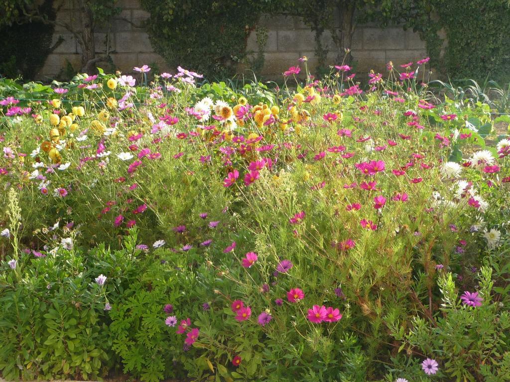 Les Sables-dʼOlonne Chambre D'Hote Fleur De Potager מראה חיצוני תמונה