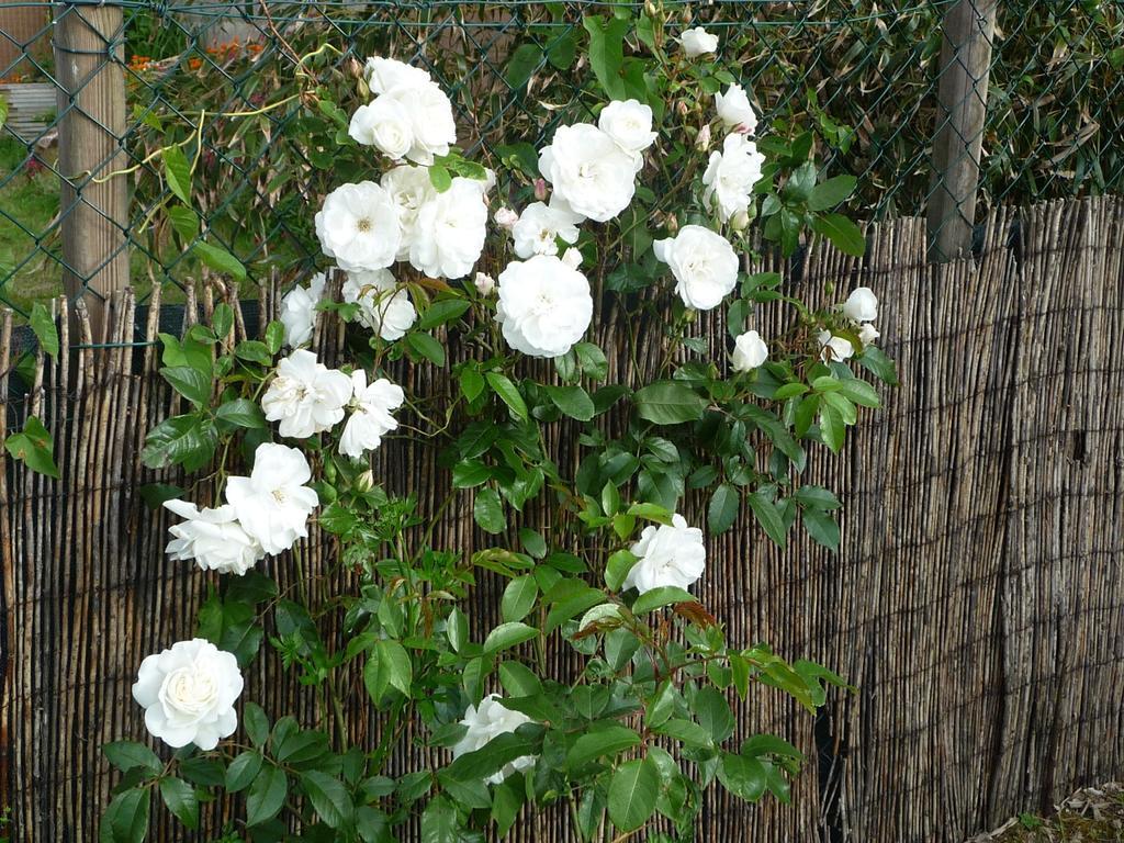 Les Sables-dʼOlonne Chambre D'Hote Fleur De Potager מראה חיצוני תמונה