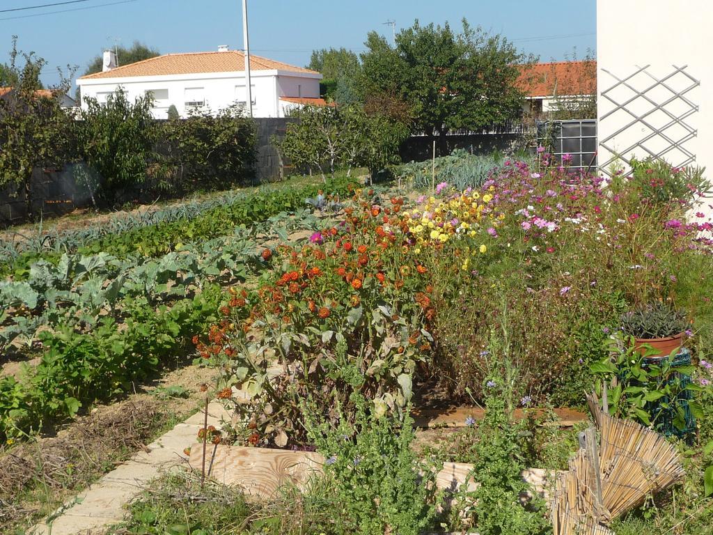 Les Sables-dʼOlonne Chambre D'Hote Fleur De Potager מראה חיצוני תמונה